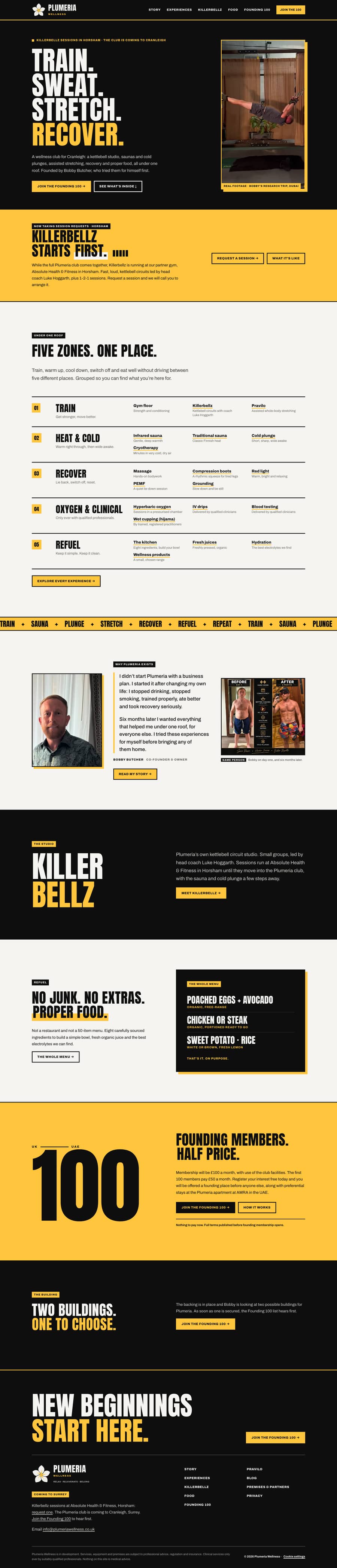The Plumeria Wellness website, built by Tim Dennis